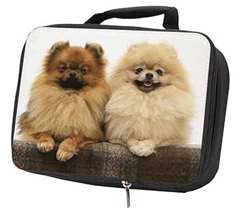 Pomeranian Dogs Black Insulated School Lunch Box/Picnic Bag