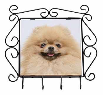 Cream Pomeranian Dog Wrought Iron Key Holder Hooks