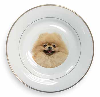 Cream Pomeranian Dog Gold Rim Plate Printed Full Colour in Gift Box