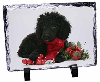 Christmas Poodle, Stunning Photo Slate