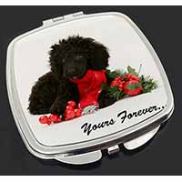 Miniature Poodle Dog 