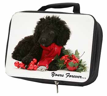 Miniature Poodle Dog 