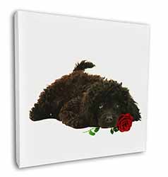 Miniature Poodle Dog with Red Rose Square Canvas 12"x12" Wall Art Picture Print