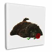 Miniature Poodle Dog with Red Rose Square Canvas 12"x12" Wall Art Picture Print