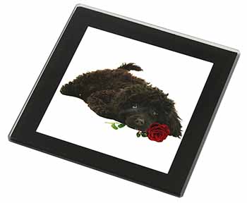 Miniature Poodle Dog with Red Rose Black Rim High Quality Glass Coaster