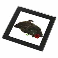 Miniature Poodle Dog with Red Rose Black Rim High Quality Glass Coaster