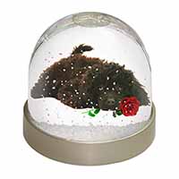 Miniature Poodle Dog with Red Rose Snow Globe Photo Waterball