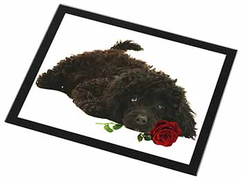 Miniature Poodle Dog with Red Rose Black Rim High Quality Glass Placemat