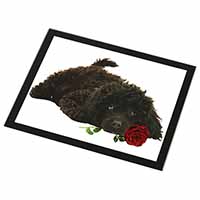 Miniature Poodle Dog with Red Rose Black Rim High Quality Glass Placemat