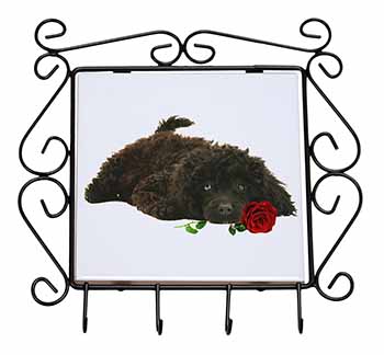 Miniature Poodle Dog with Red Rose Wrought Iron Key Holder Hooks