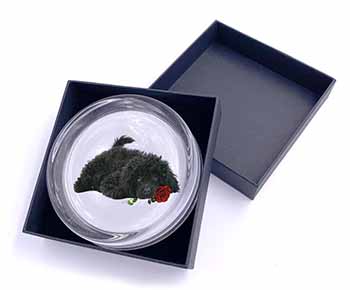 Miniature Poodle Dog with Red Rose Glass Paperweight in Gift Box