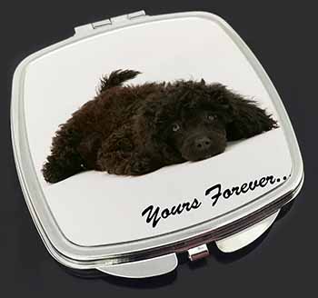 Miniature Black Poodle 