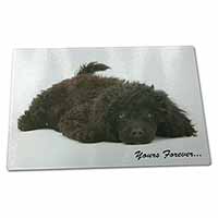 Large Glass Cutting Chopping Board Miniature Black Poodle 