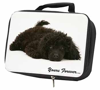 Miniature Black Poodle 