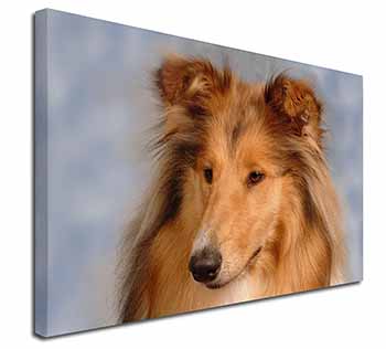 Rough Collie Dog Canvas X-Large 30"x20" Wall Art Print