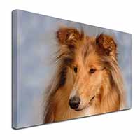 Rough Collie Dog Canvas X-Large 30"x20" Wall Art Print