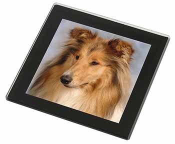 Rough Collie Dog Black Rim High Quality Glass Coaster