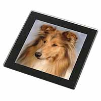 Rough Collie Dog Black Rim High Quality Glass Coaster