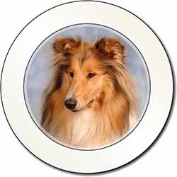 Rough Collie Dog Car or Van Permit Holder/Tax Disc Holder