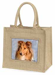 Rough Collie Dog 