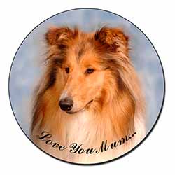 Rough Collie Dog 