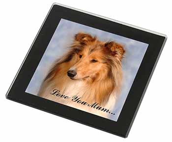 Rough Collie Dog 