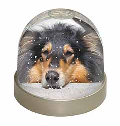 Tri-Colour Rough Collie Dog Snow Globe Photo Waterball