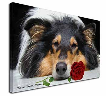 Rough Collie+Rose 