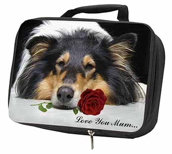 Rough Collie+Rose 