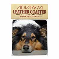 Tri-Colour Rough Collie Dog Single Leather Photo Coaster