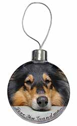 Rough Collie Dog 