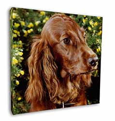 Irish Red Setter Dog Square Canvas 12"x12" Wall Art Picture Print