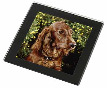 Irish Red Setter Dog Black Rim High Quality Glass Coaster