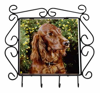 Irish Red Setter Dog Wrought Iron Key Holder Hooks