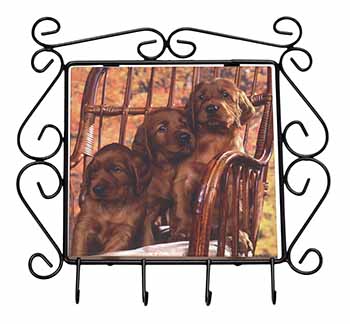 Irish Red Setter Puppy Dogs Wrought Iron Key Holder Hooks