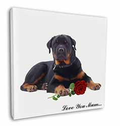 Rottweiler+Rose 