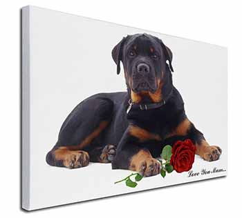 Rottweiler+Rose 