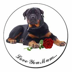 Rottweiler+Rose 