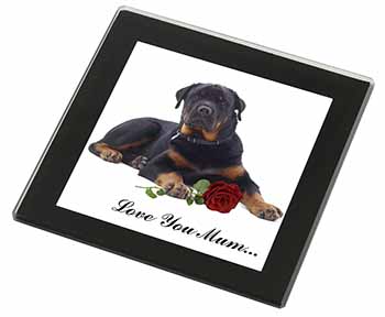 Rottweiler+Rose 