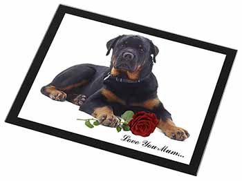 Rottweiler+Rose 