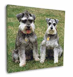 Schnauzer Dogs Square Canvas 12"x12" Wall Art Picture Print