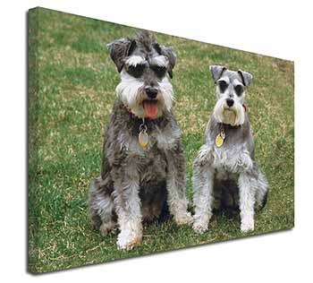 Schnauzer Dogs Canvas X-Large 30"x20" Wall Art Print