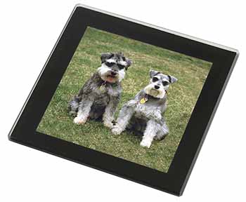 Schnauzer Dogs Black Rim High Quality Glass Coaster