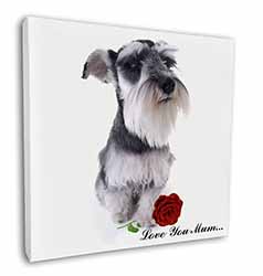 Schnauzer+Rose 