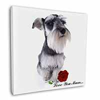 Schnauzer+Rose 