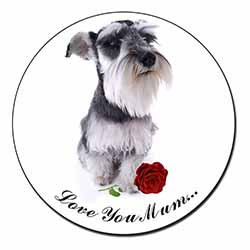 Schnauzer+Rose 