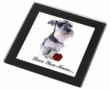 Schnauzer+Rose 