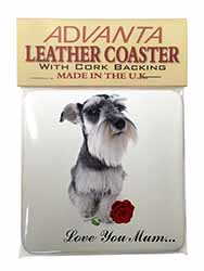 Schnauzer+Rose 