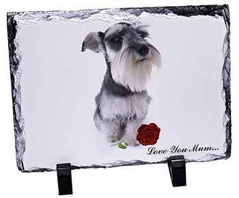 Schnauzer+Rose 