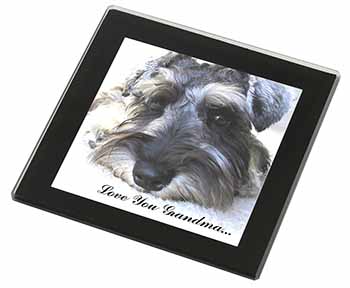 Schnauzer Dog 